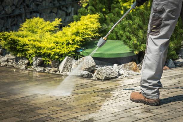 Best Driveway Pressure Washing  in Stanleytown, VA