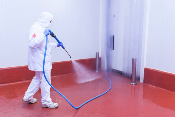 Best Roof Washing  in Stanleytown, VA